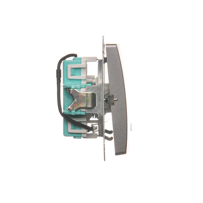 Single push-button without pictogram with backlight (module) 230V, metallic stainless steel