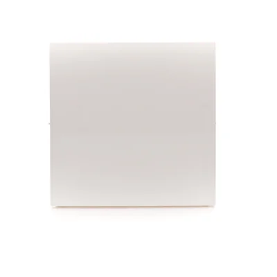 Single rocker for switches/buttons, white