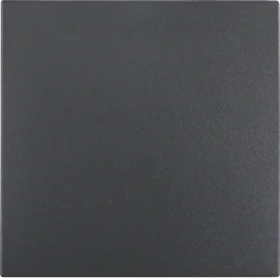 Single rocker for universal switch anthracite