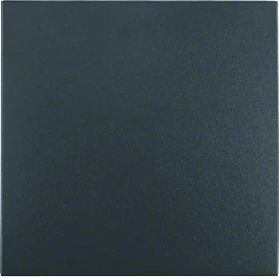 Single rocker for universal switch anthracite