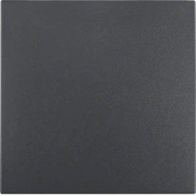 Single rocker for universal switch anthracite