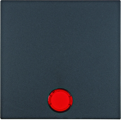 Single rocker with 5 anthracite lenses attached