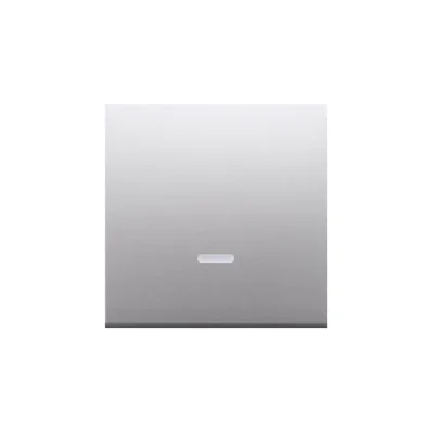 Single rocker with an eyelet for illuminated switches/buttons, silver (metallic)