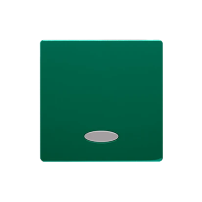 Single rocker with eyelet for switches/buttons with backlight