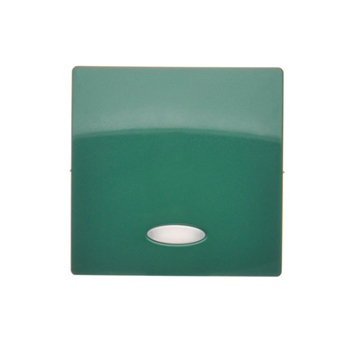 Single rocker with eyelet for switches/buttons with backlight