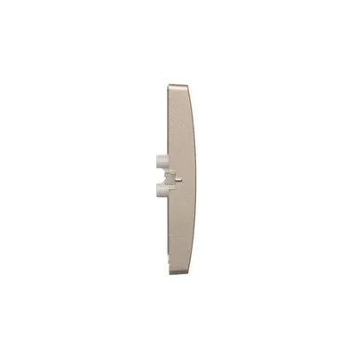 Single rocker with key pictogram, satin (metallic)