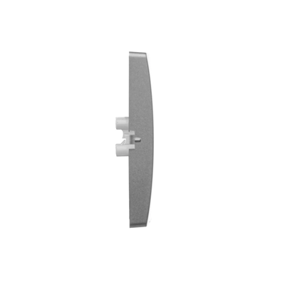 Single rocker with key pictogram, stainless steel (metallic)