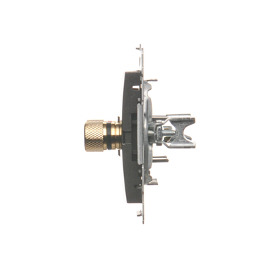 Single speaker socket (module) anthracite metallic