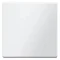 Single white key