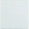 Single white key