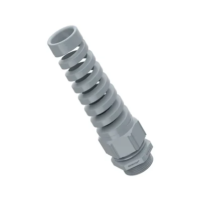 Skintop BS PG 11 RAL 7001 SGY gland