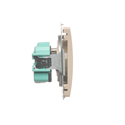 Socket with grounding (module) 16A 250V beige