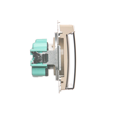 Socket with grounding, with filter current paths, splash-proof IP44 (module), 16A, 250V, screw terminals, transp. flap, beige