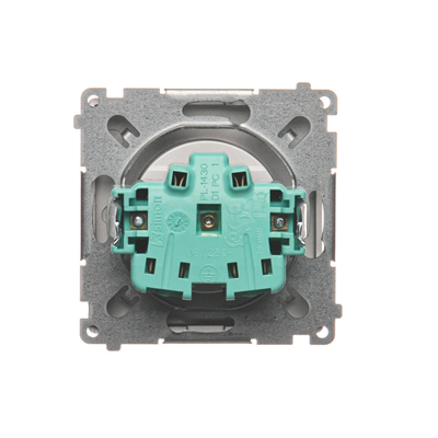 Socket without grounding (module) 16A 250V inox screw terminals (metallic)