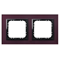 SONATA Double frame gray glass