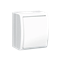 Splashproof single-pole switch IP54, 10A, 250V, screw terminals, white