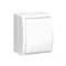 Splashproof single-pole switch IP54, 10A, 250V, screw terminals, white