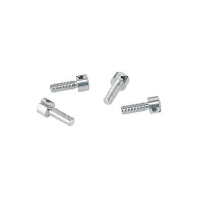 Śruba do plombowania, BPZ-S