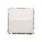 Stair switch (module) 10A 250V screw terminals white