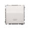 Stair switch with backlight (module) 10A 250V white screw terminals