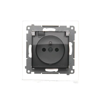 Steckdose für IP44-Version mit Klappen und Rahmendichtung (Modul) 16A 250V transparente Klappe silber (metallic)