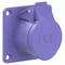 Straight panel socket 32A 2P 24V 50/60Hz IP44/54 (flange 70X70, hole spacing 56X56), nickel-plated contacts