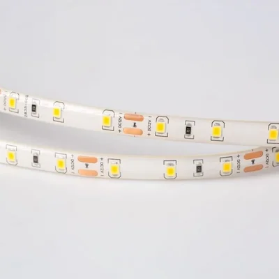 Striscia LED 300 4.8W/m 3000K 300lm/m 12V IP63 /5m/
