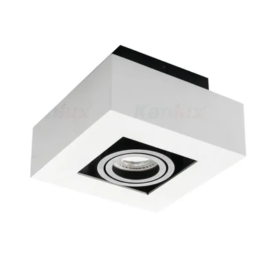 Stropní bodové světlo STOBI DLP 50-W