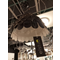 Sunny 51 Black display pendant lamp