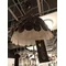 Sunny 51 Black display pendant lamp