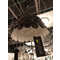 Sunny 51 Schwarz Display-Pendelleuchte