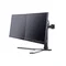 Support double écran IIYAMA DS1002D-B1