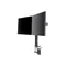 Supporto per 2 monitor IIYAMA DS1002C-B1