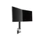 Supporto per 2 monitor IIYAMA DS1002C-B1