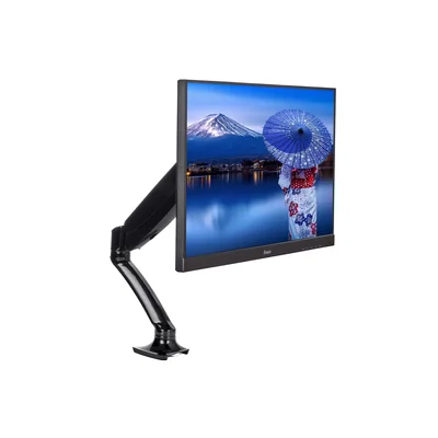 Supporto per monitor molla a gas IIYAMA DS3001C-B1