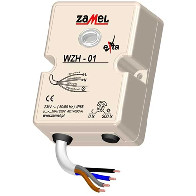 Surface-mounted twilight switch with probe 230V AC IP65 TYPE: wzh-01