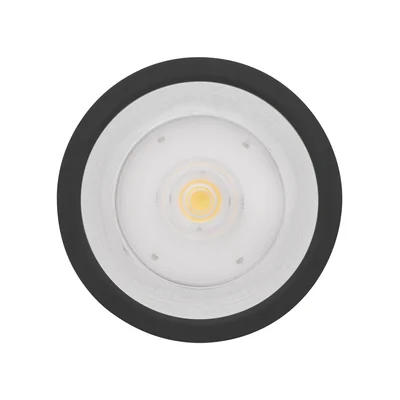 Svítidlo Downlight DN 250 P 45W 840 60D IP65 BK