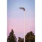 Svítidlo STREETLIGHT AREA SM V 45W 765 RV20ST GY