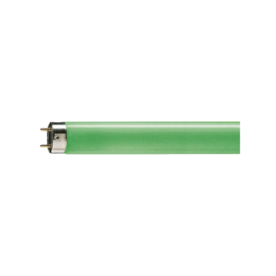 Świetlówka 36W G13