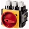 Switch, 250A, P5-250/EA/SVB/N