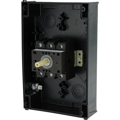 Switch, 63A, P3-63/I4/SVB