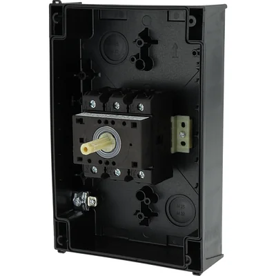 Switch, 63A, P3-63/I4/SVB