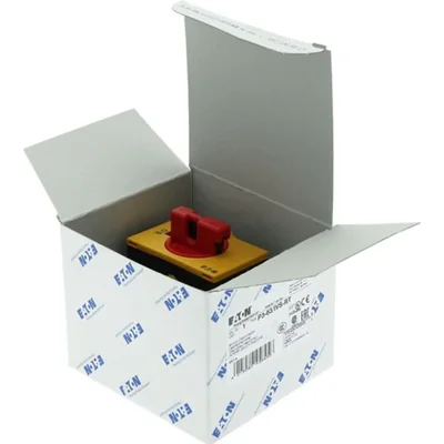 Switch, 63A, P3-63/IVS-RT