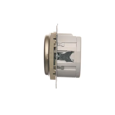 Switch with switch-off delay (module) 20-500W gold (metallic)