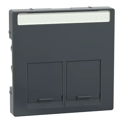 SYSTEM M Schneider Electric double central plate for RJ45 connector, anthracite