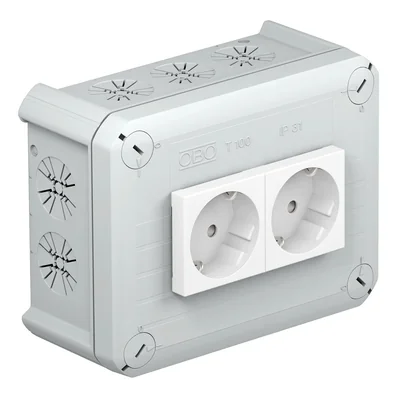 T 100 2MSD WS Junction box with 2 Schuko sockets