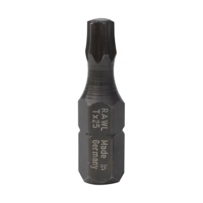 T25 25MM TORX25 SCHLAG-BIT 20 STÜCK/PACKUNG