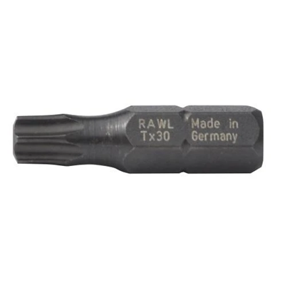 T30 25 MM TORX30 SCHLAG-BIT 20 STÜCK/PACKUNG