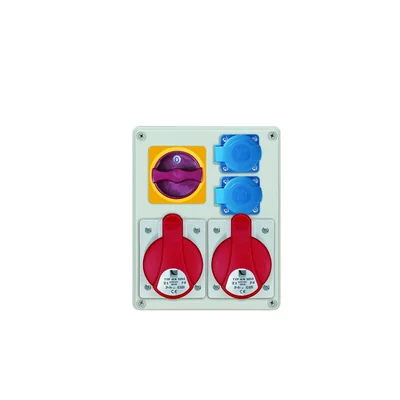 Tableau de distribution R-BOX 240 : 2 x 32 A/5 pôles, 2 x 250 V, 1 x L/P 40 A, 400 V, IP44, 1 relais thermique