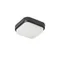 Taris Lampada da soffitto nera